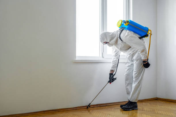 Emergency Pest Control in Benjamin, UT